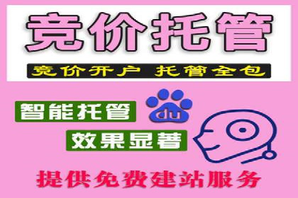 优化SEM广告：成功案例经验分享